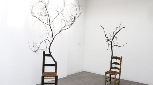 Madrid invierte medio millón de euros en obras de arte contemporáneo.