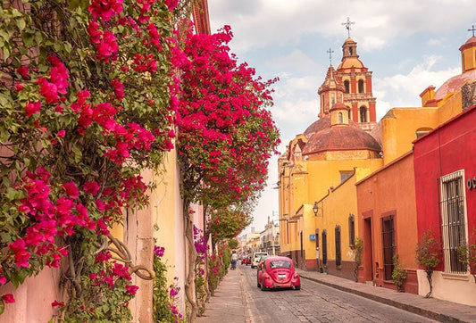 Donde Comprar Cuadros en Querétaro
