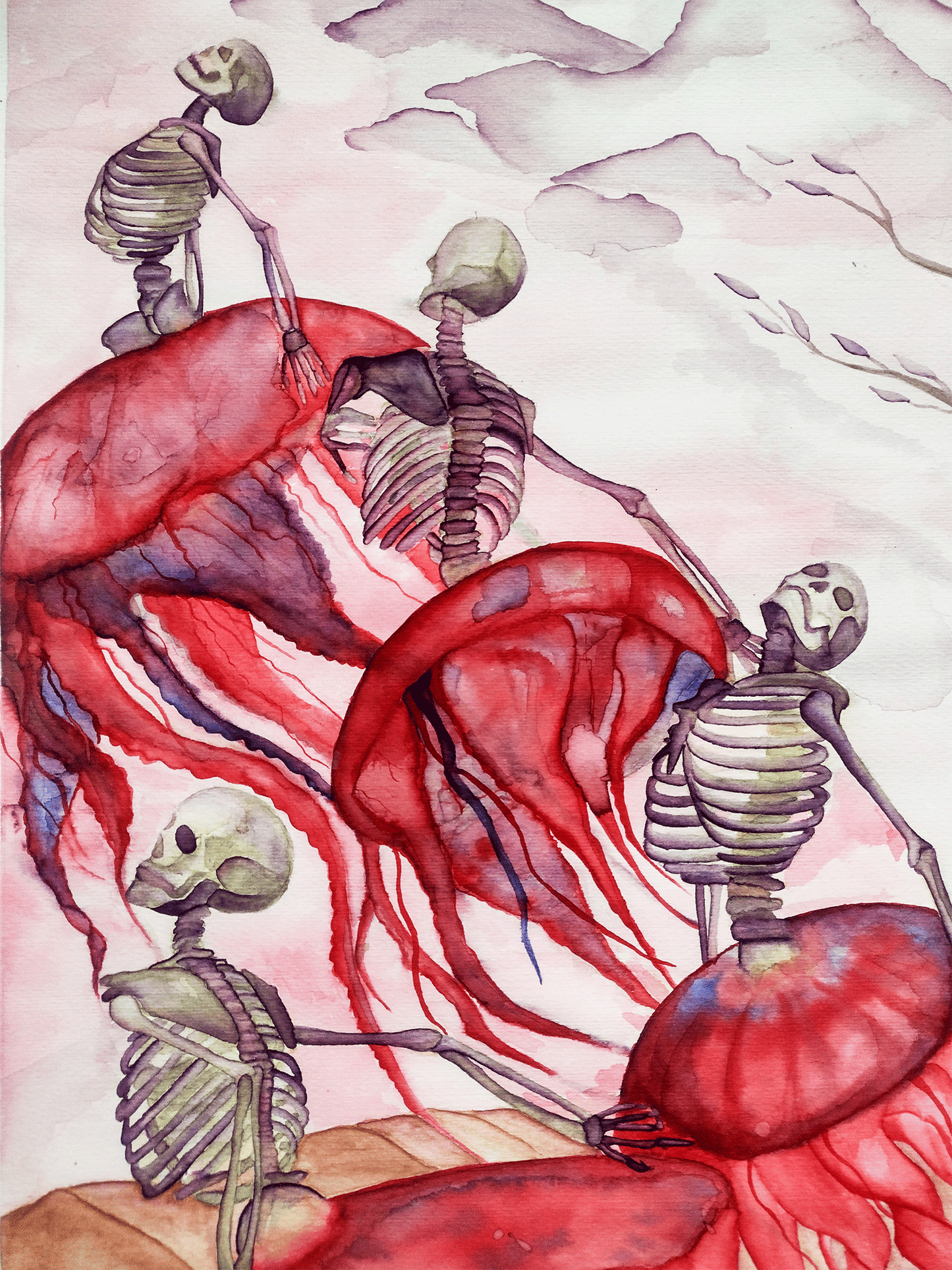 Esqueletos y medusas