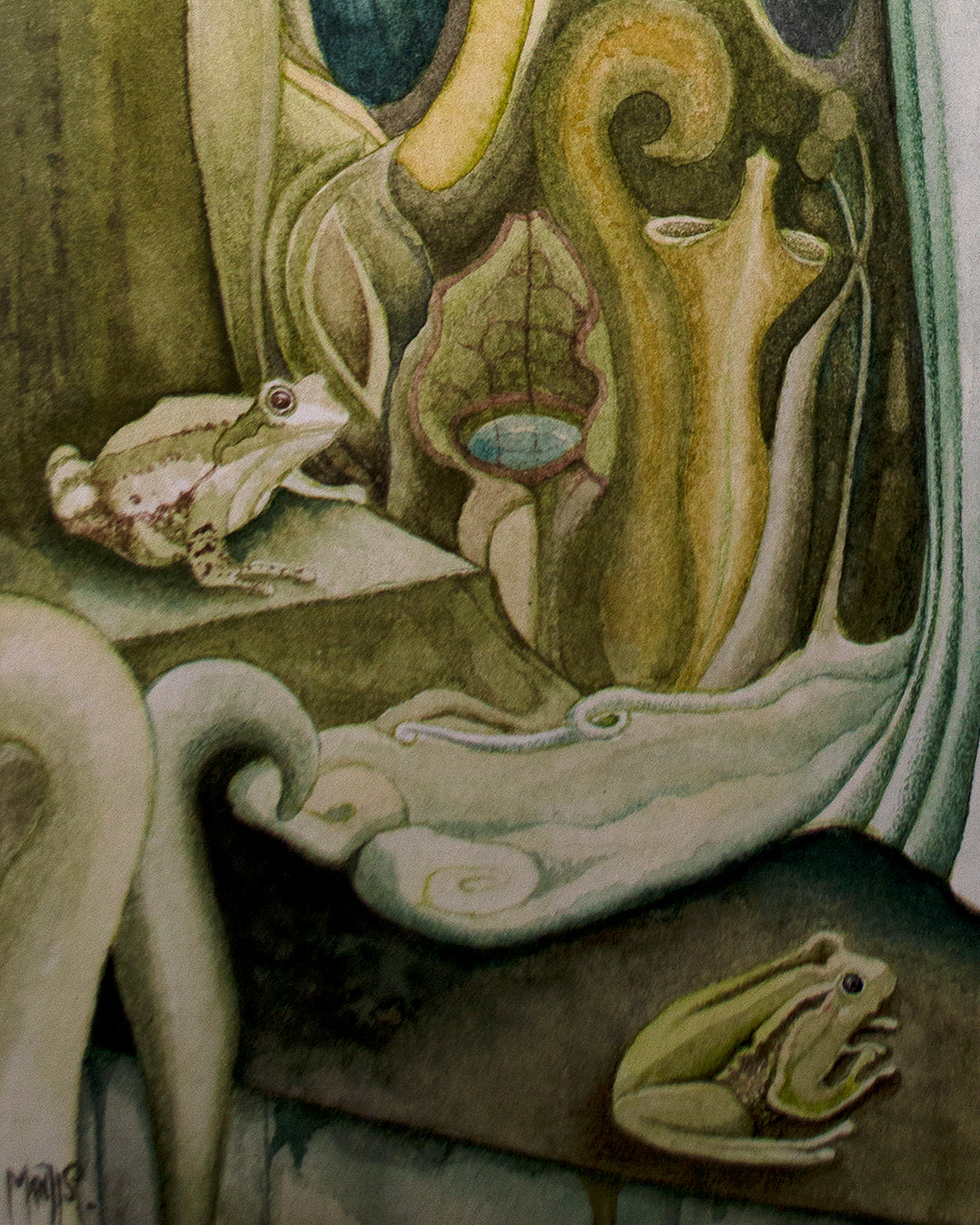 La señora de las Ranas.