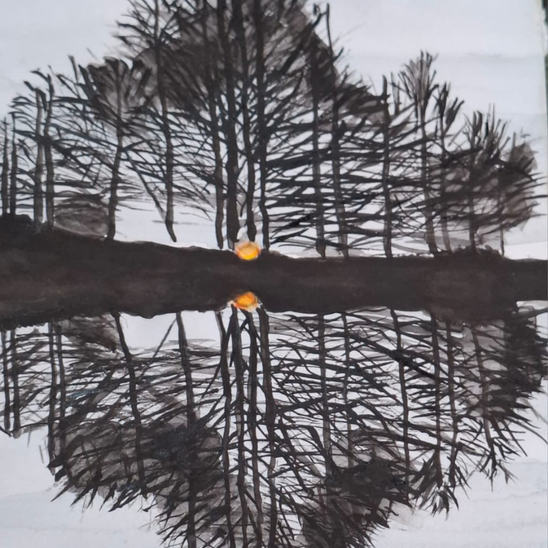 Reflejos