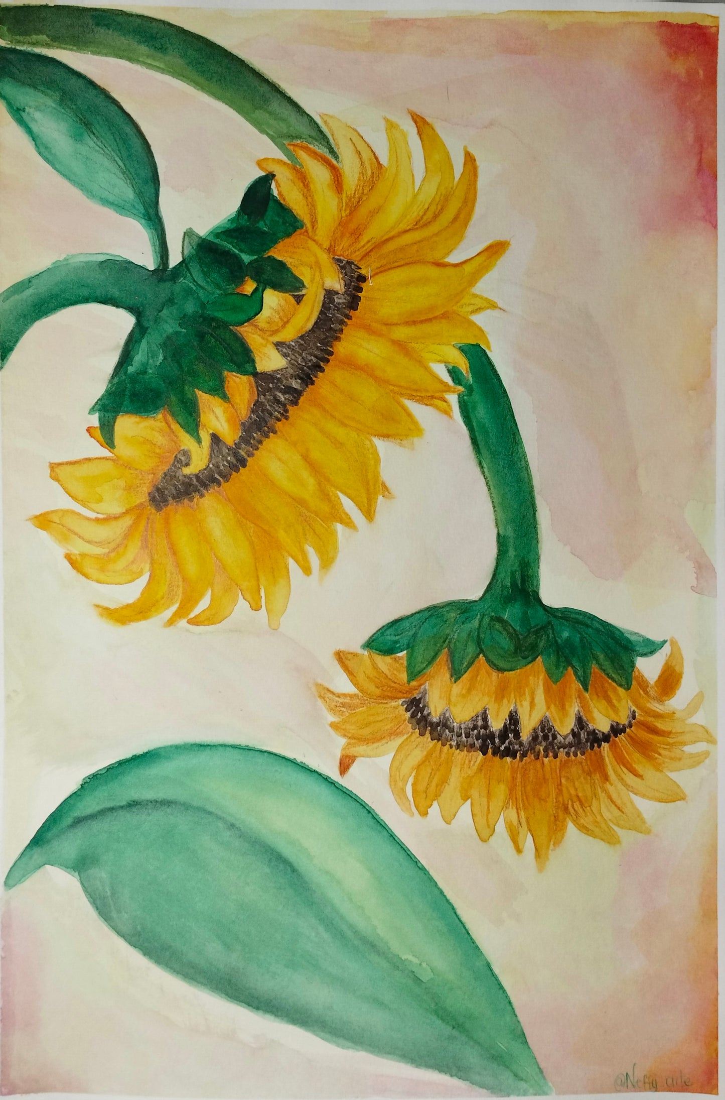La vida de los Girasoles
