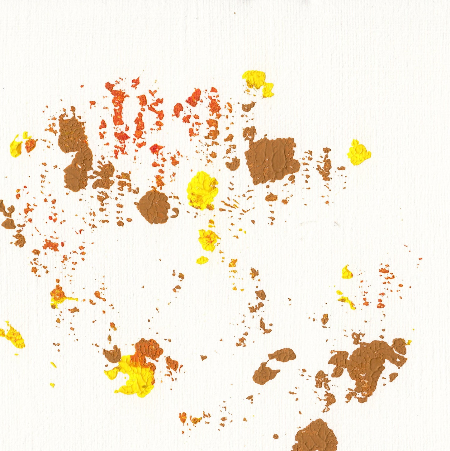liquen 27