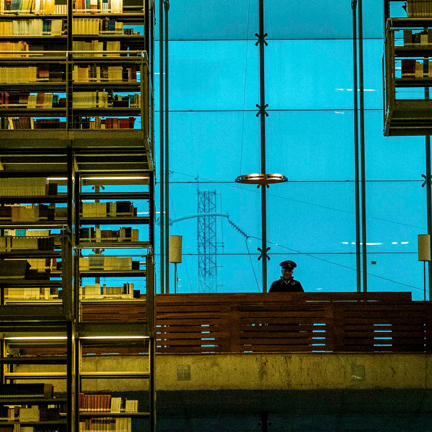 Una tarde en la biblioteca