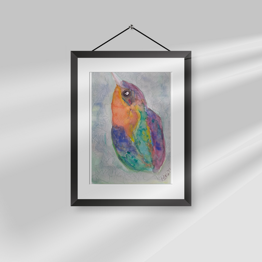 Colibrí