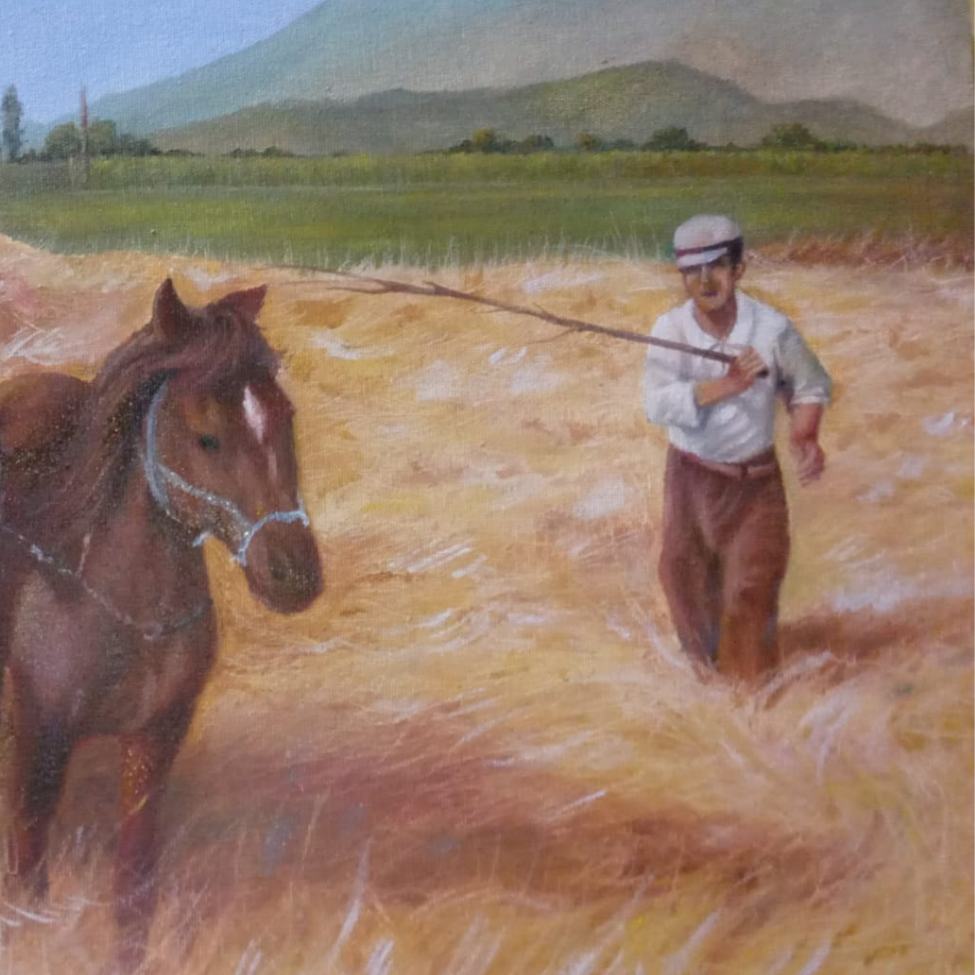 CABALLOS ENTRE HENO