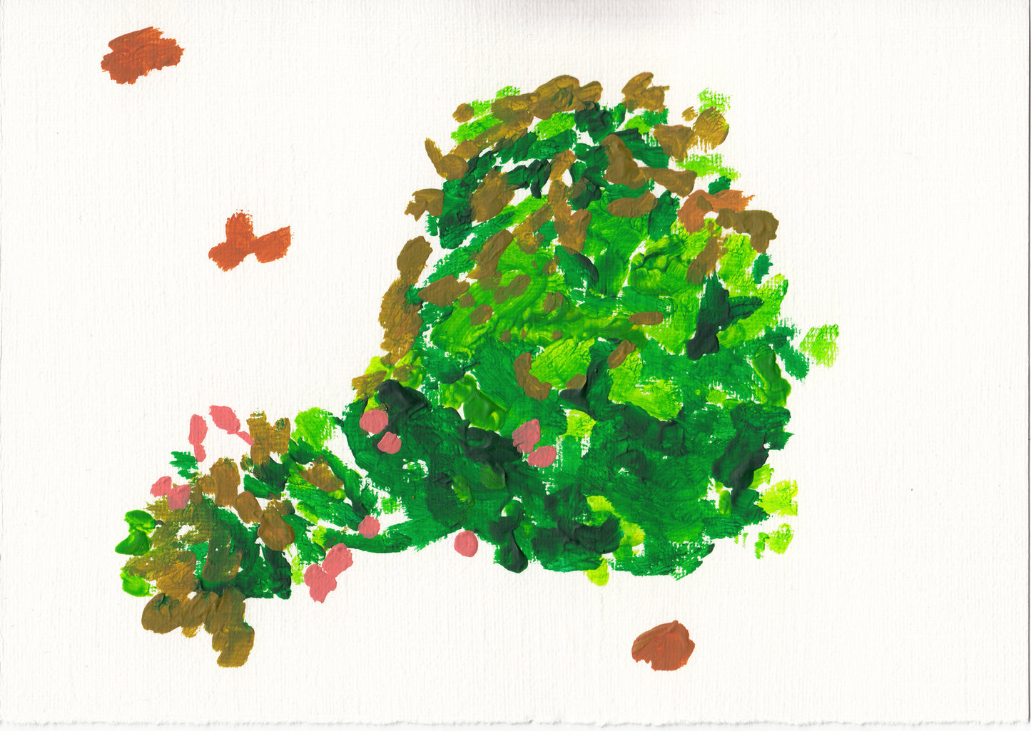 liquen 21