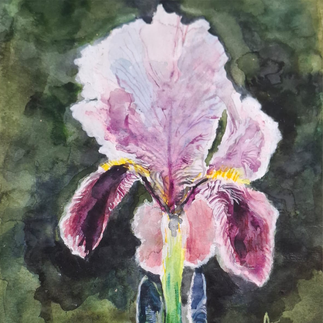 Orquídea en fondo verde