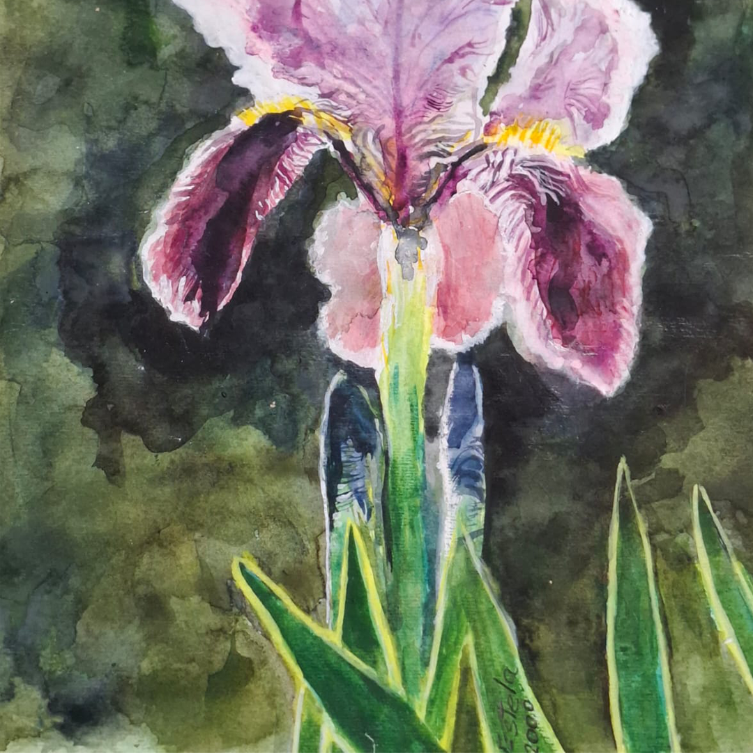 Orquídea en fondo verde