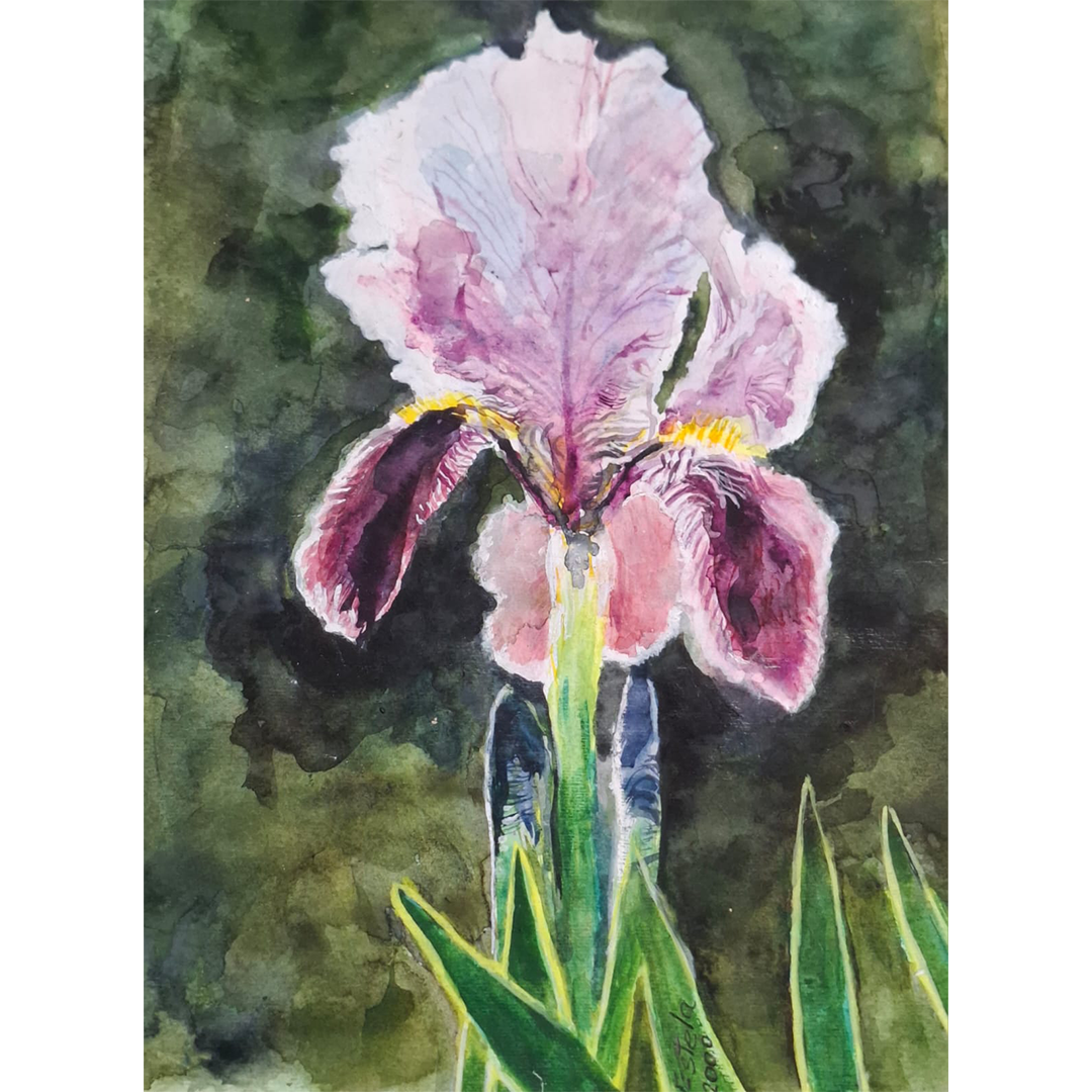 Orquídea en fondo verde