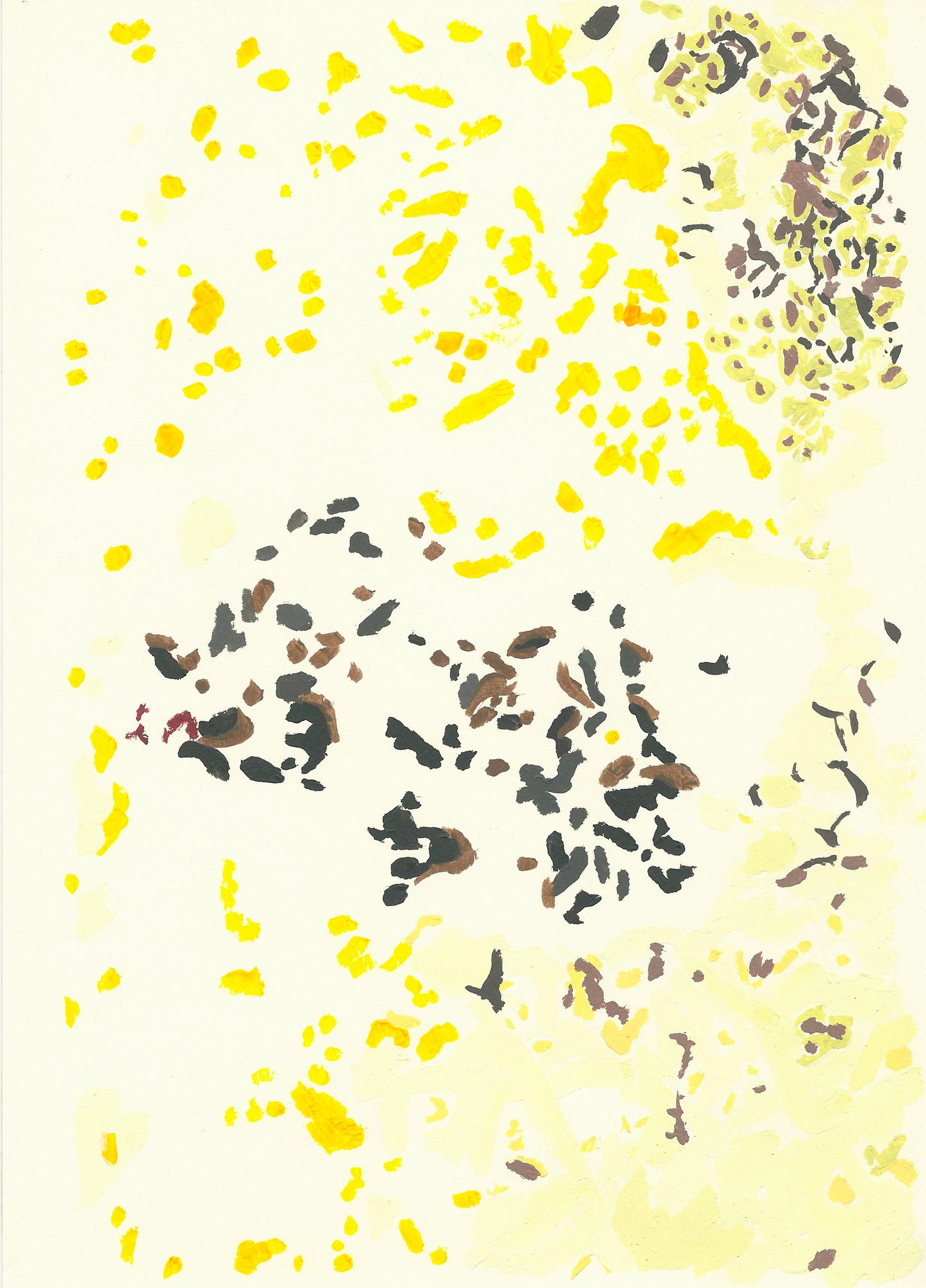 Liquen 11