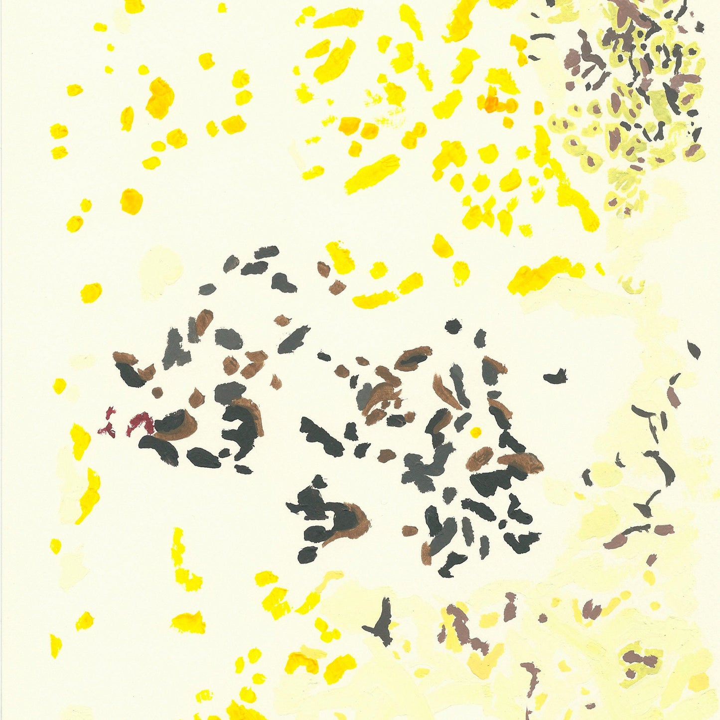 Liquen 11