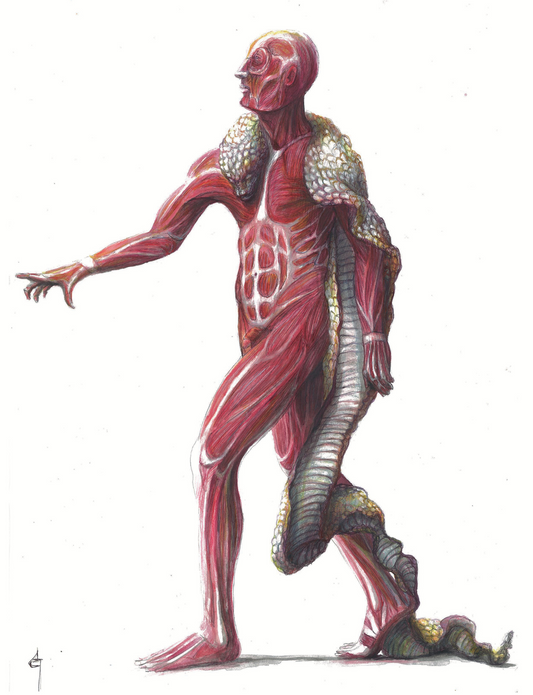 Anamorfosis II