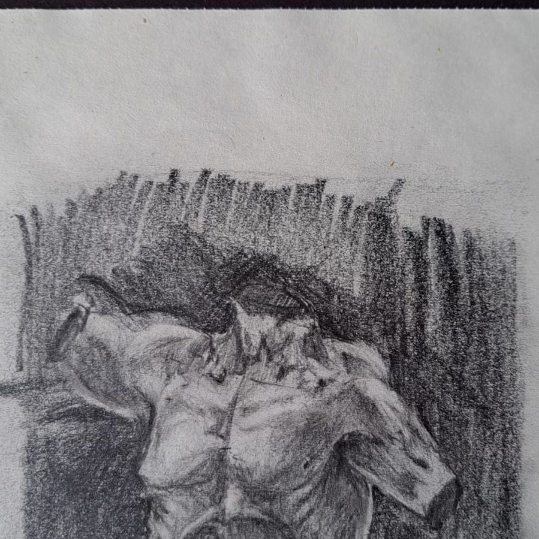 Estudio de Torso