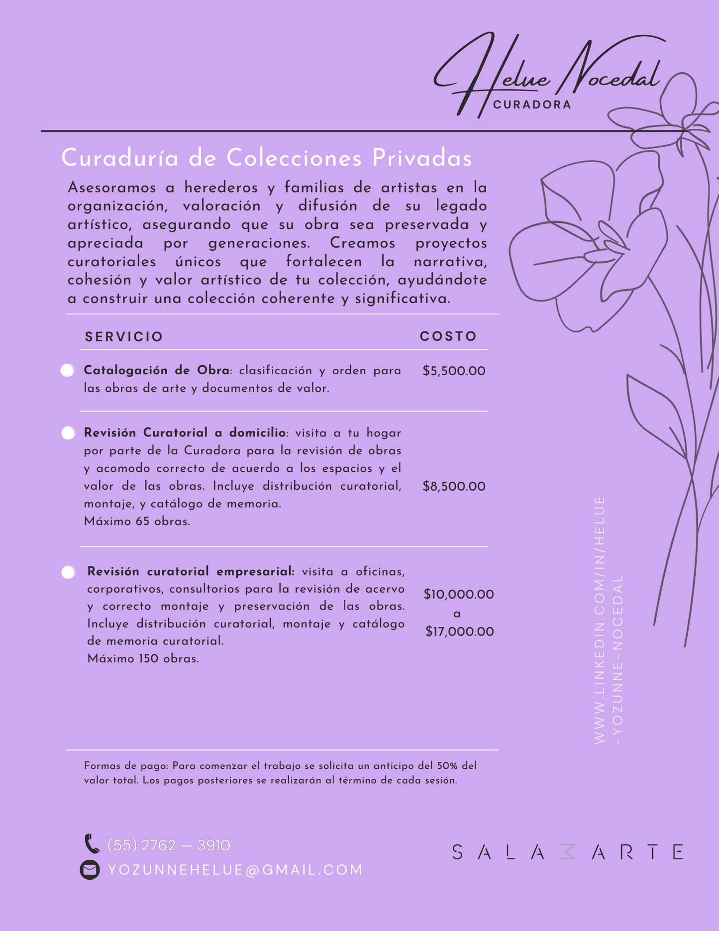Curaduría de Colecciones