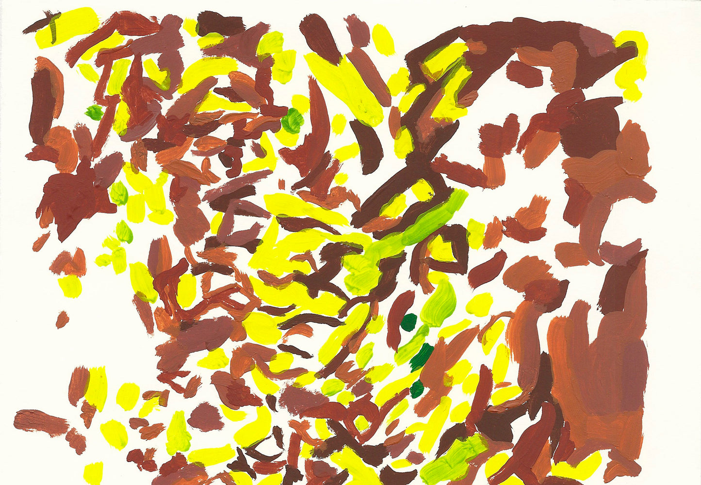 liquen 24