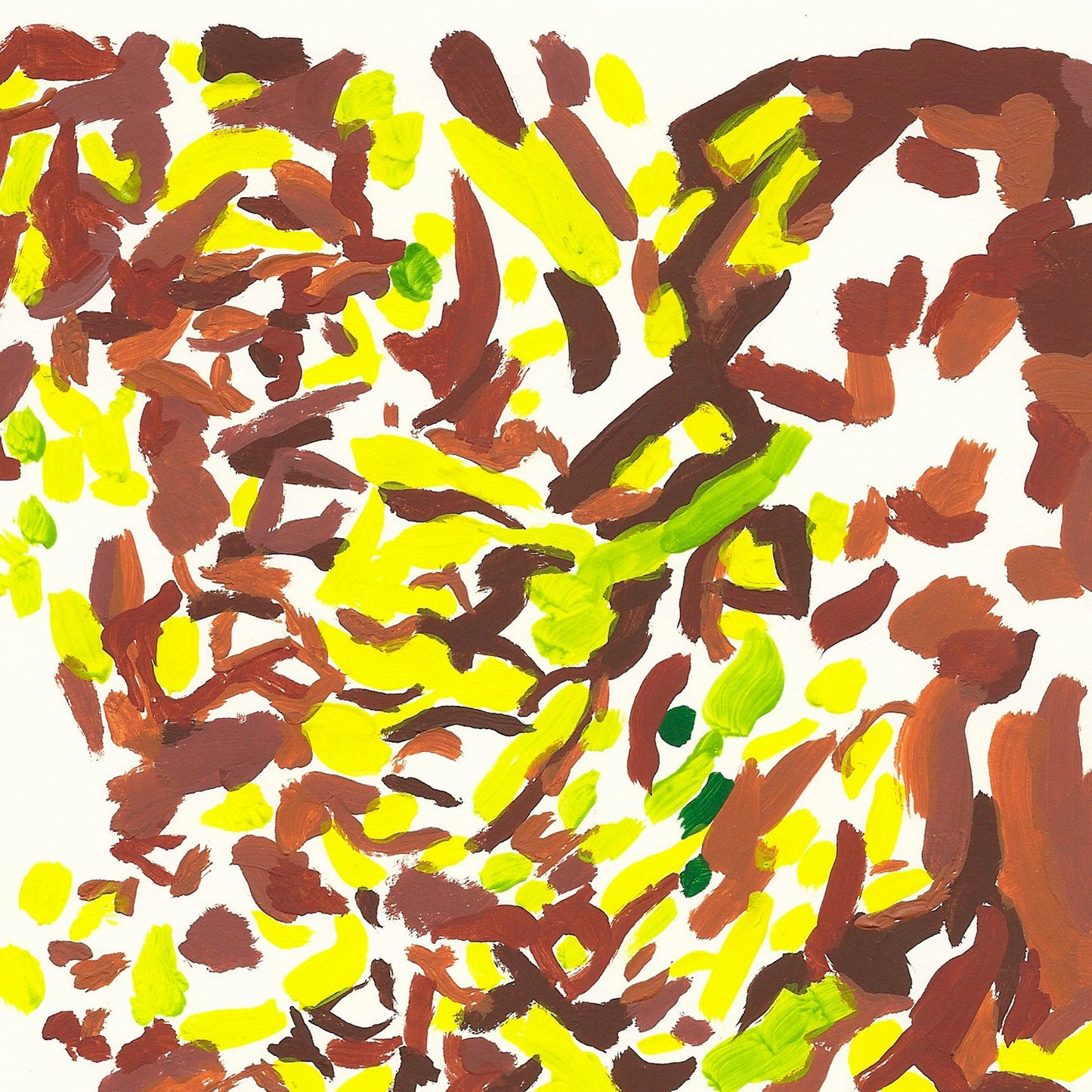 liquen 24