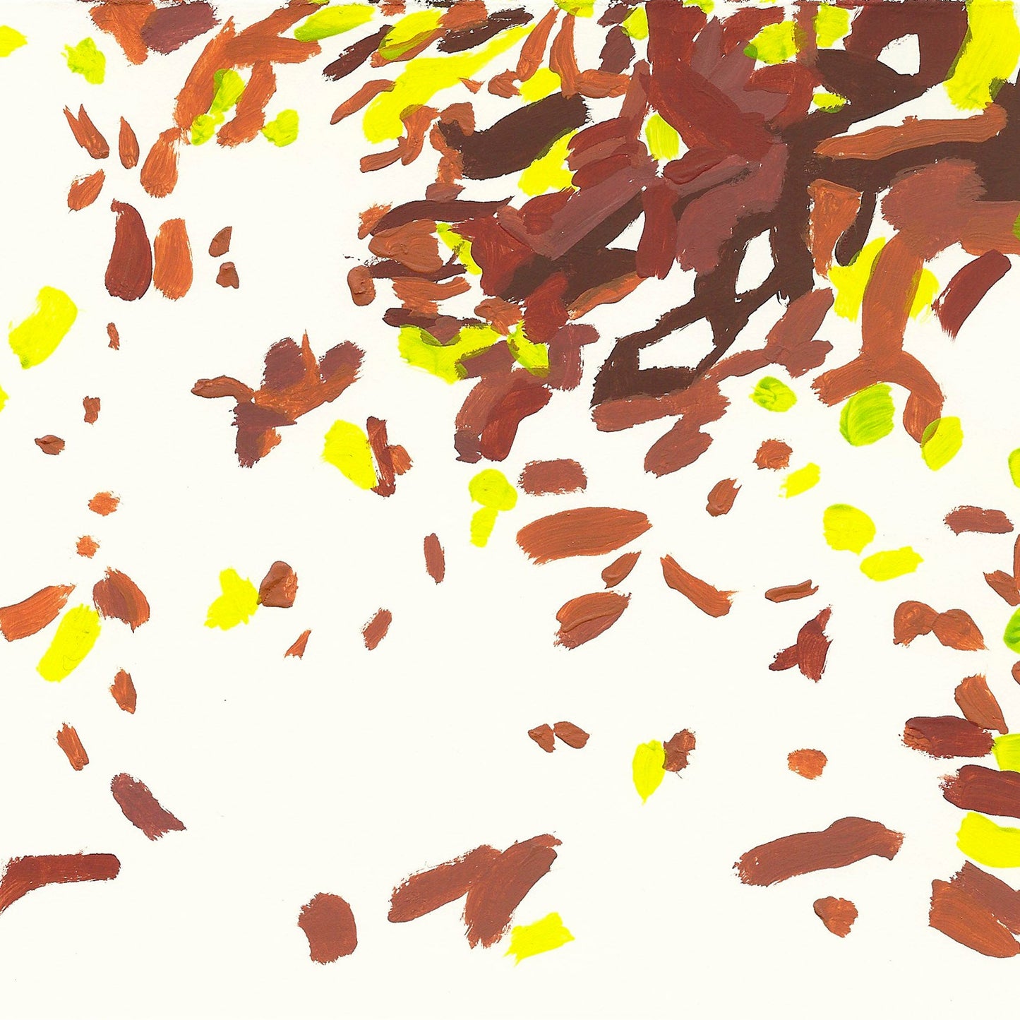 liquen 25