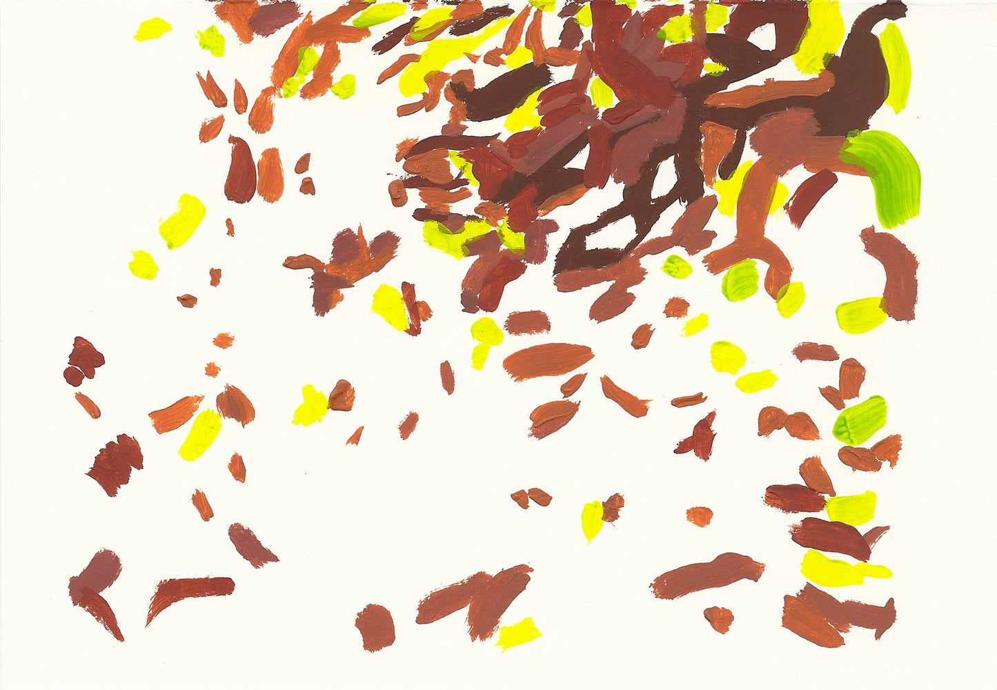 liquen 25