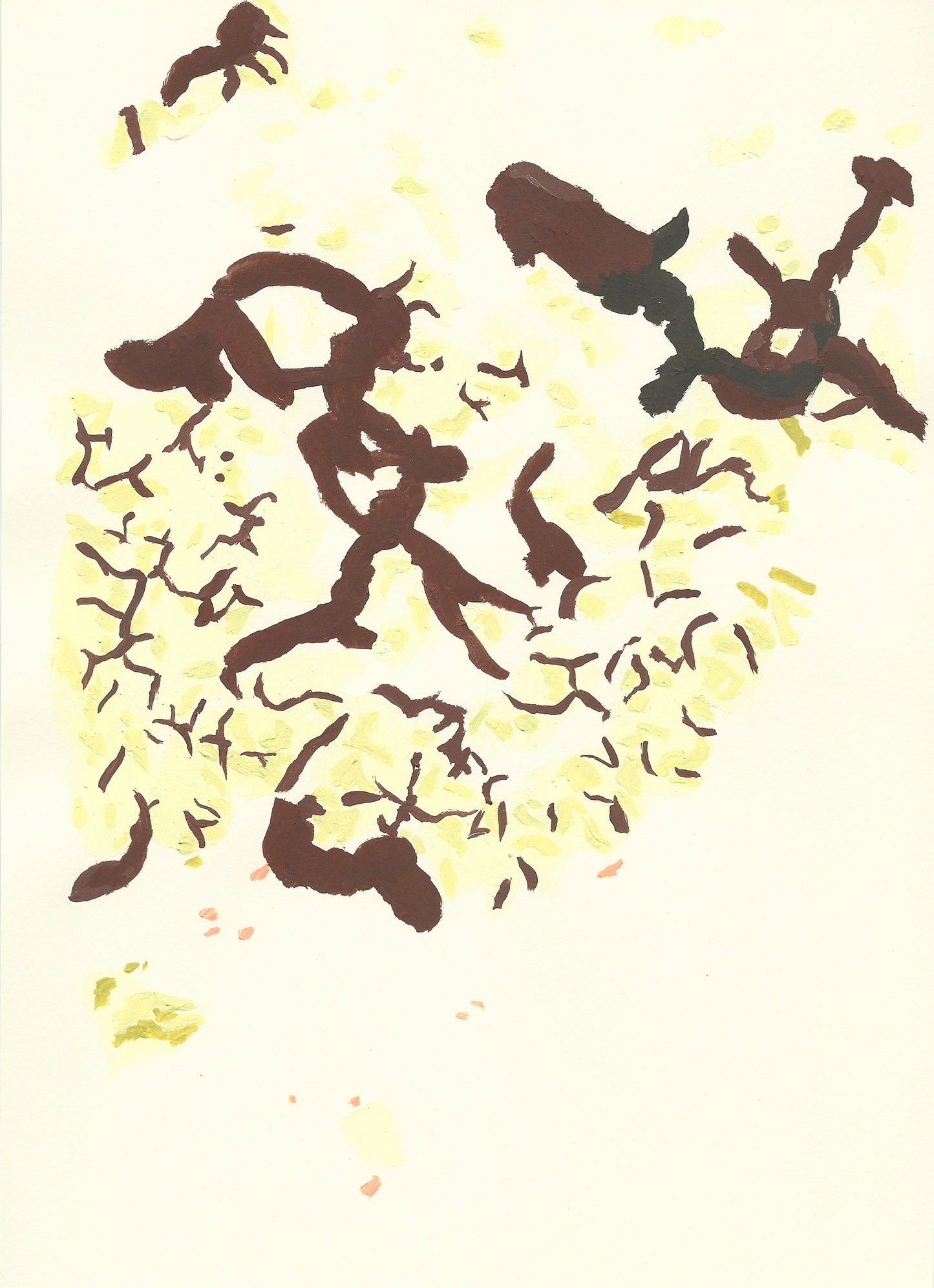 Liquen 13