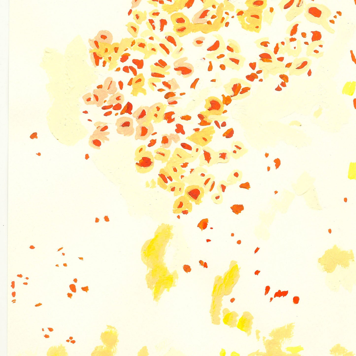 Liquen 7