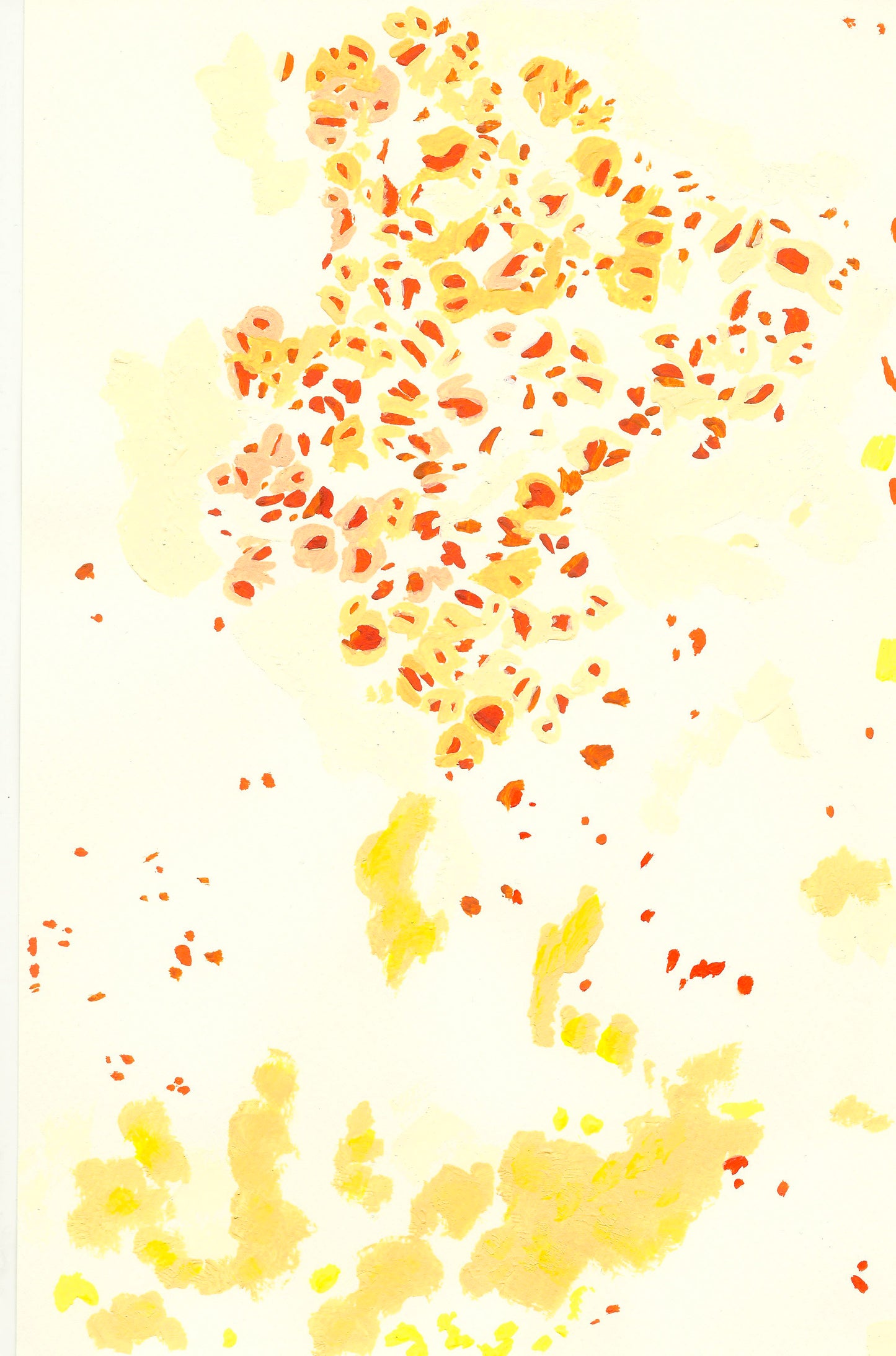 Liquen 7