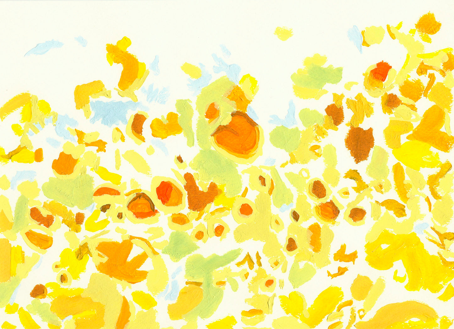 Liquen 1