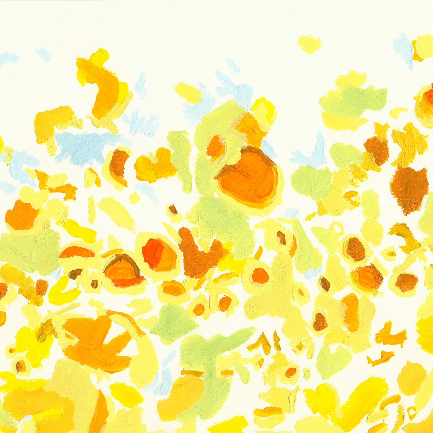 Liquen 1