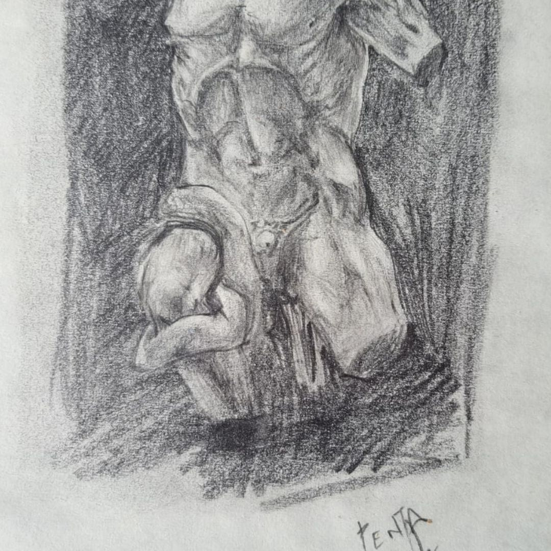 Estudio de Torso