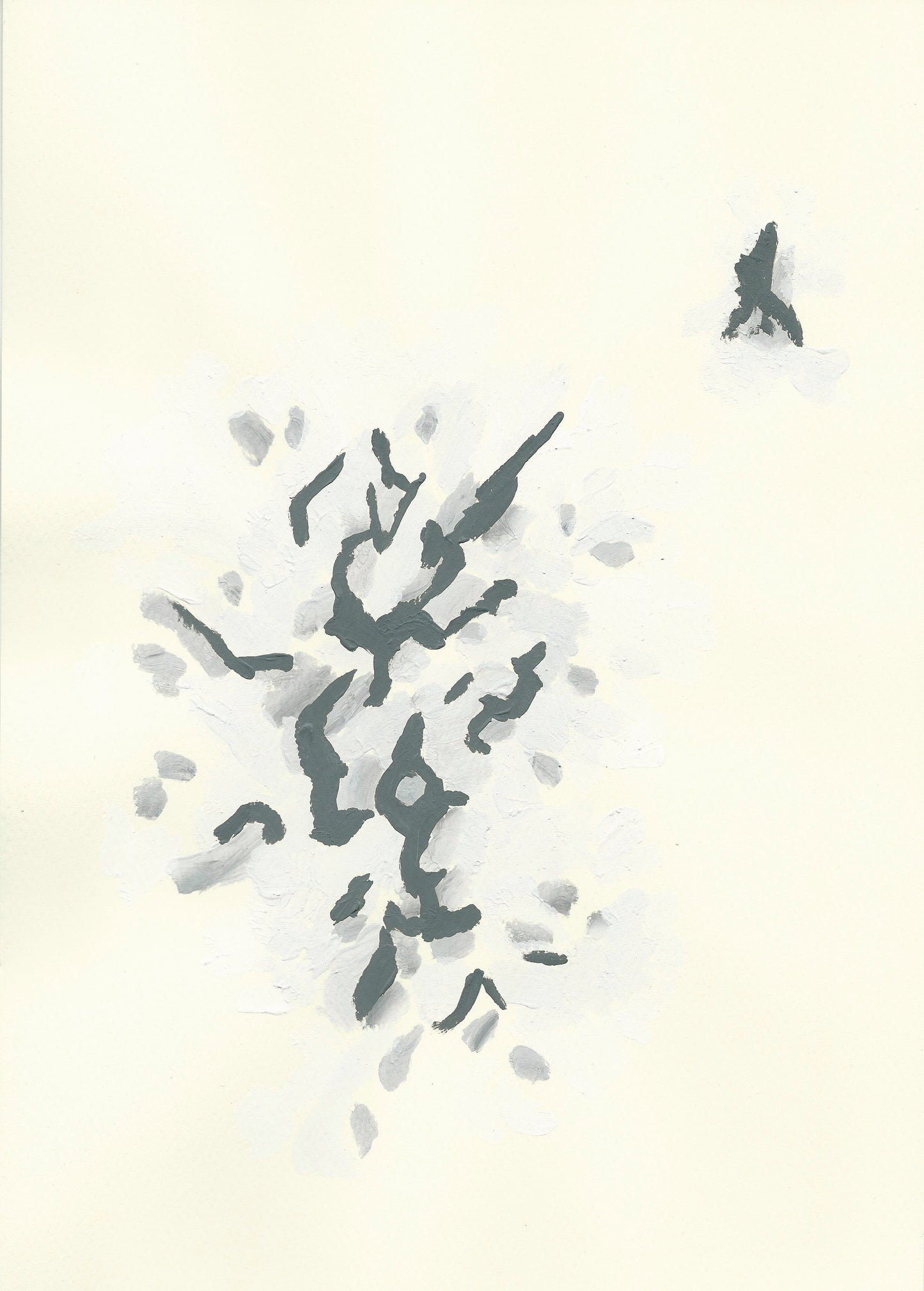 Liquen 12
