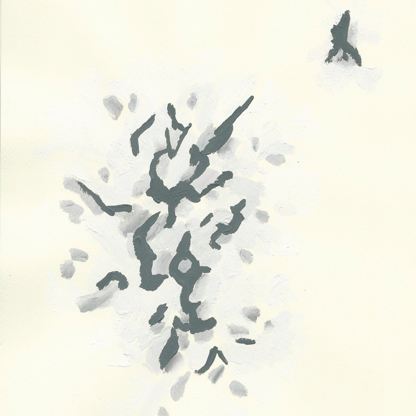 Liquen 12