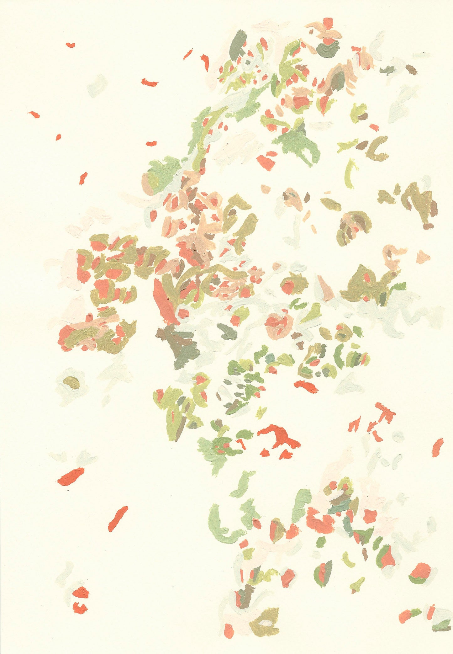 Liquen 2