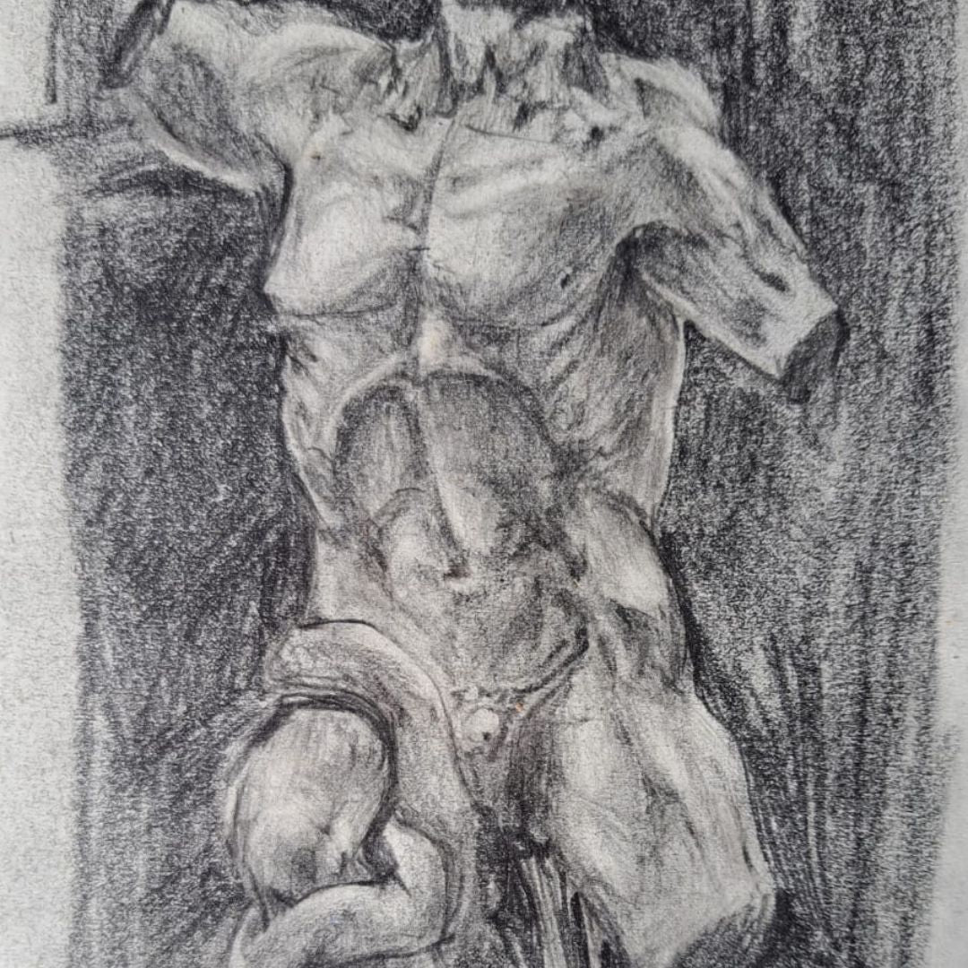 Estudio de Torso
