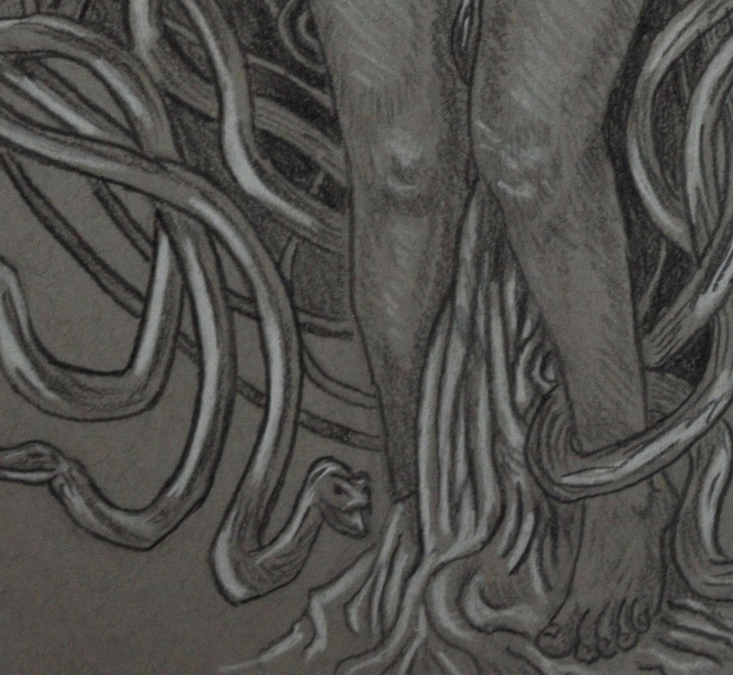 Medusa