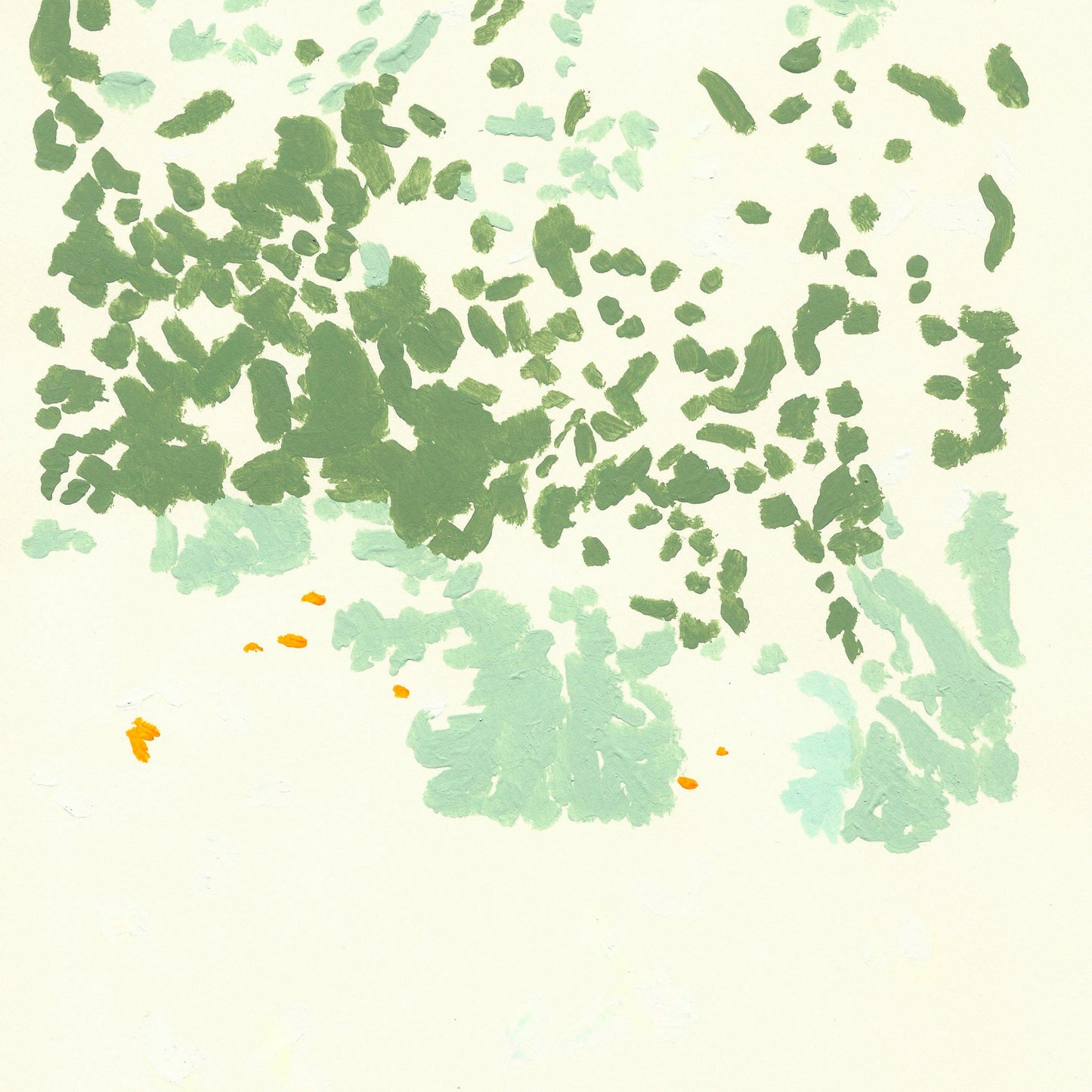 Liquen 8