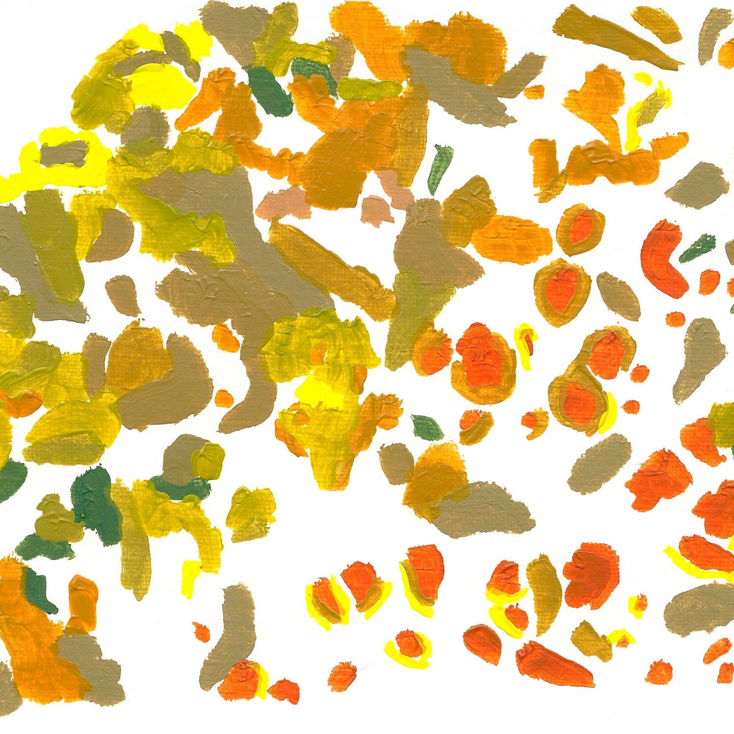 Liquen 5