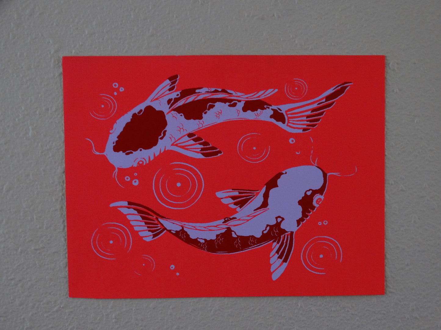 peces coi.