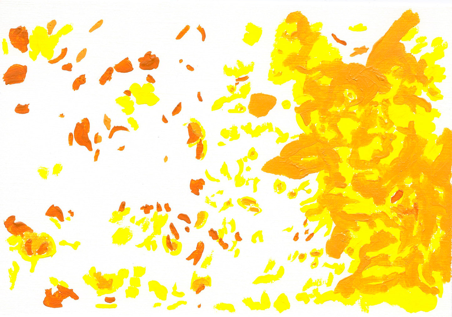 Liquen 4