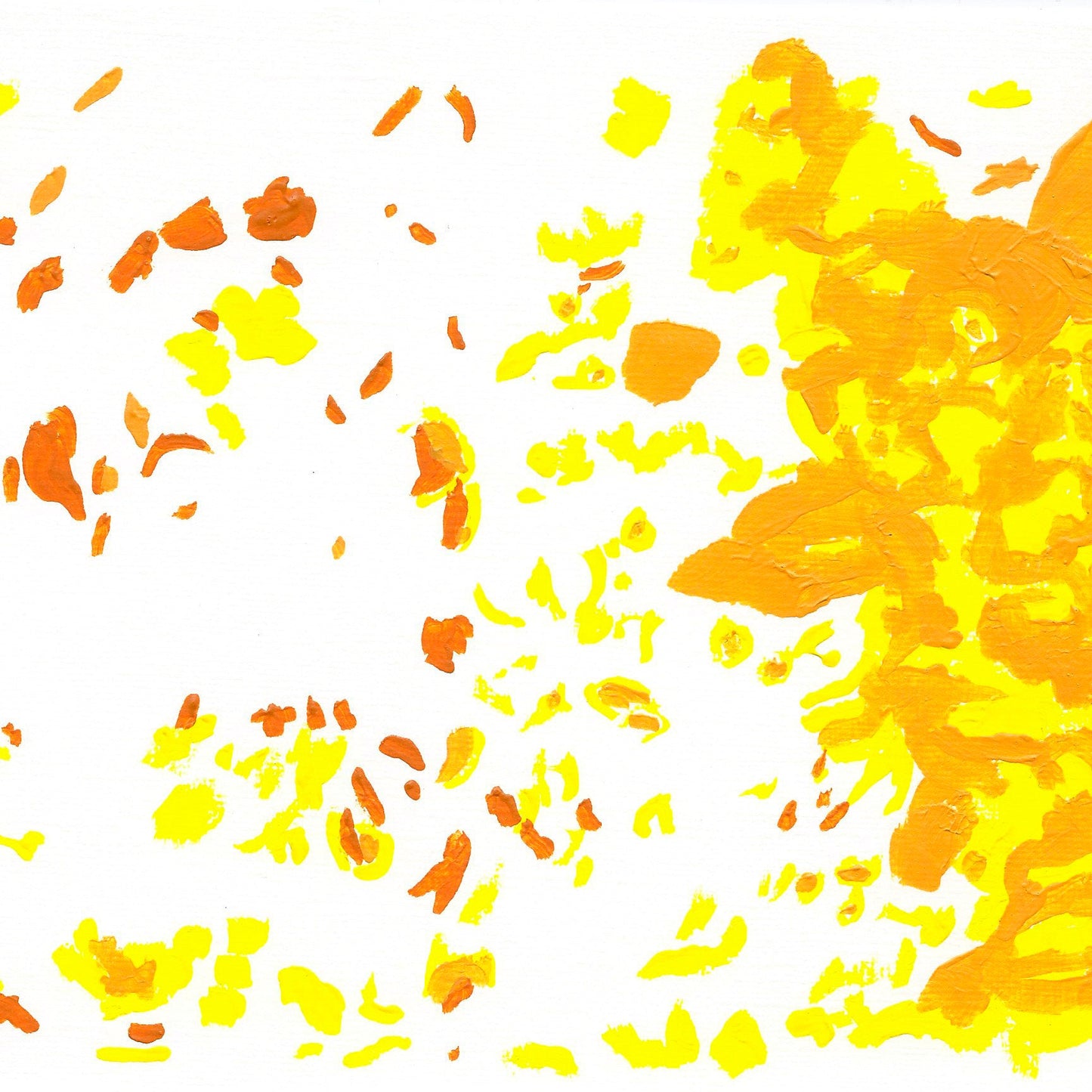 Liquen 4