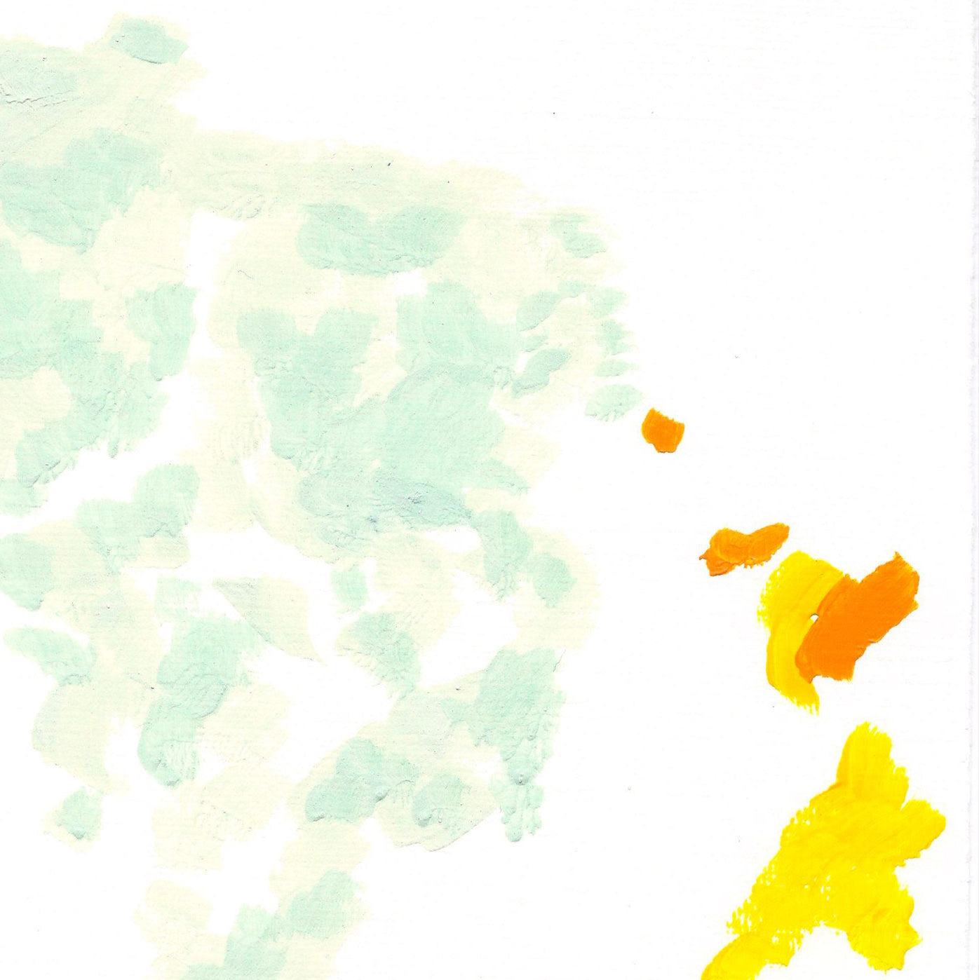 Liquen 53
