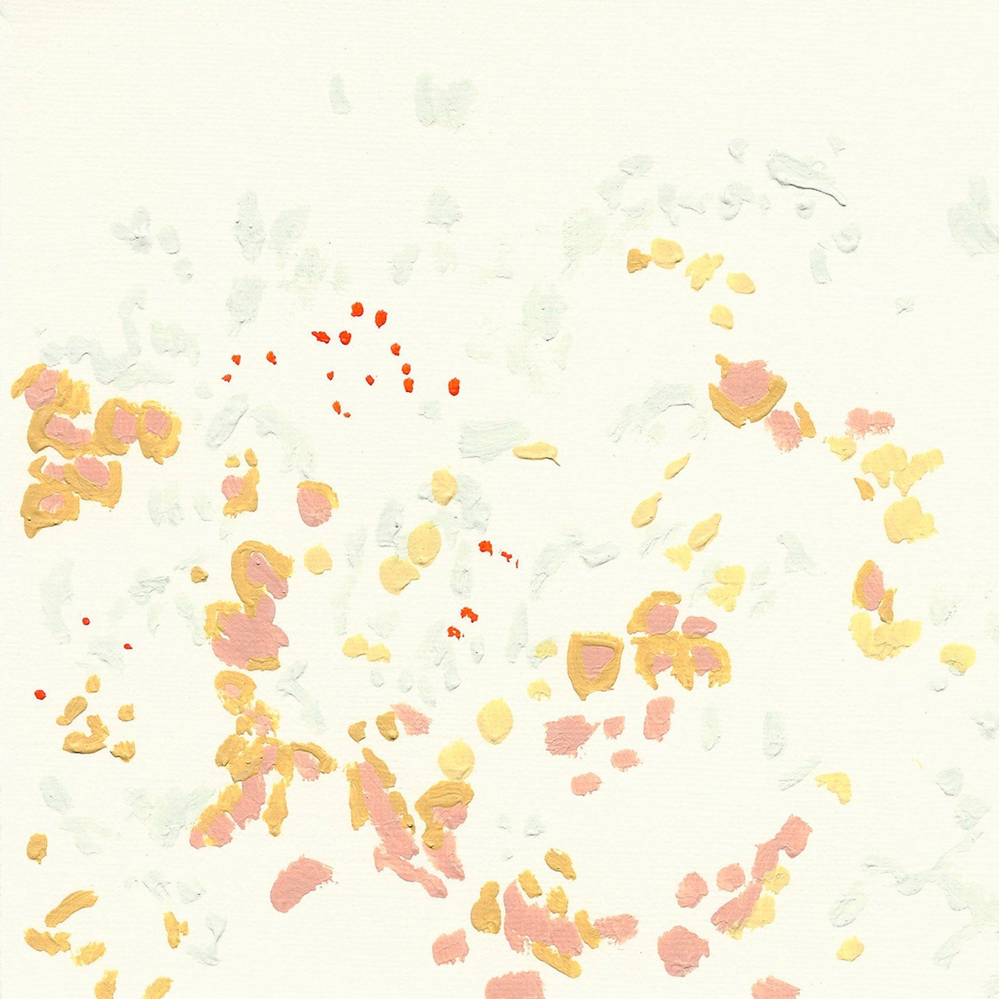 Liquen 3