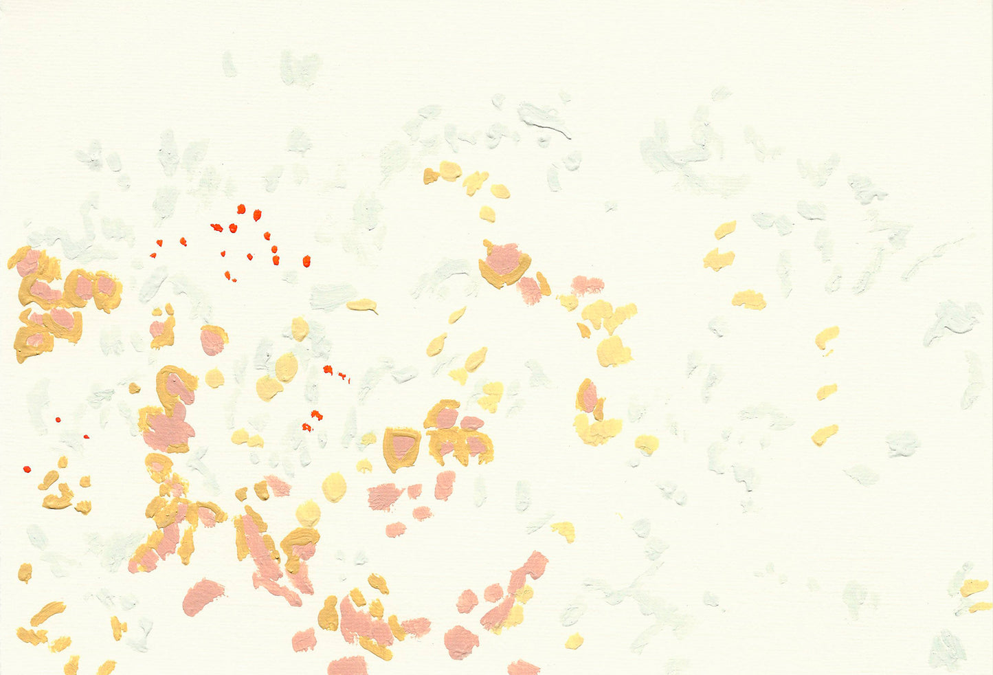 Liquen 3
