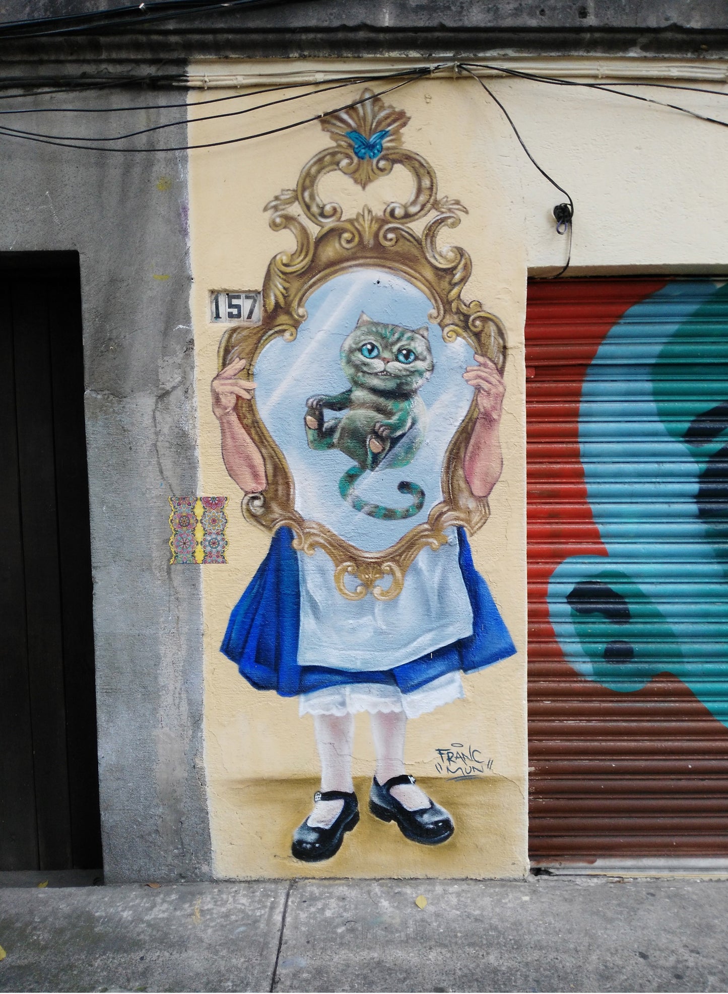ALICIA Y EL GATO