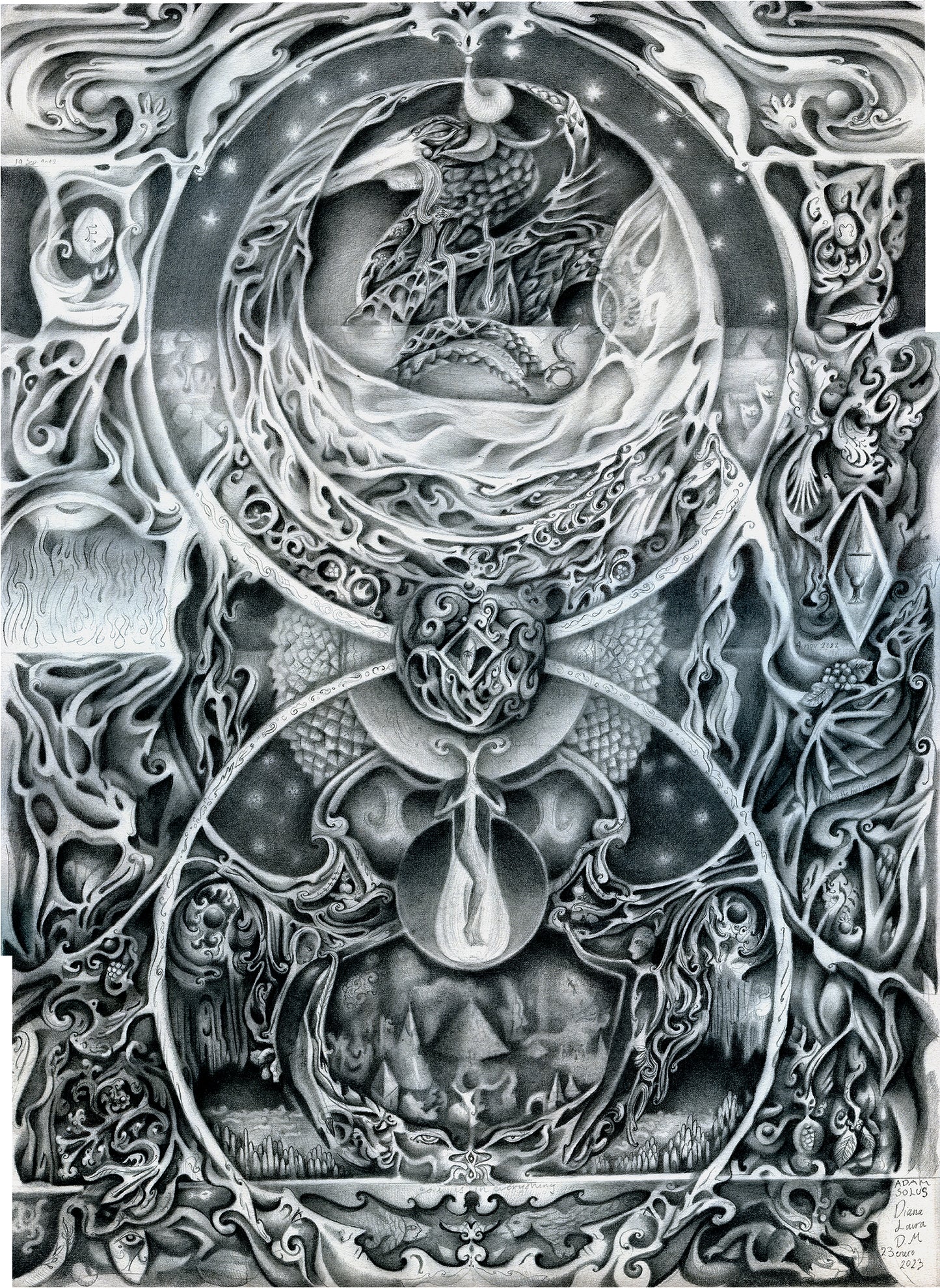 Adam Solus