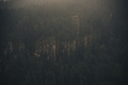 Naturaleza Nostálgica