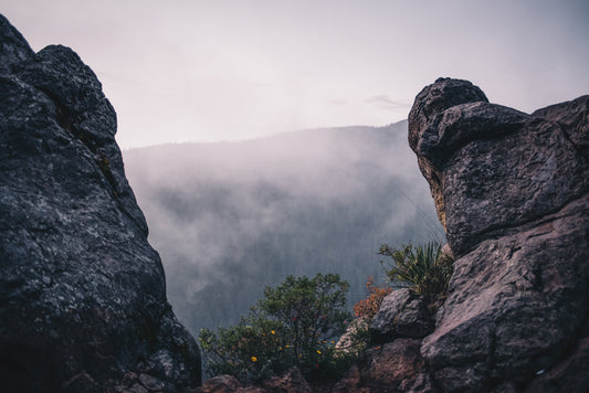 Naturaleza Nostálgica