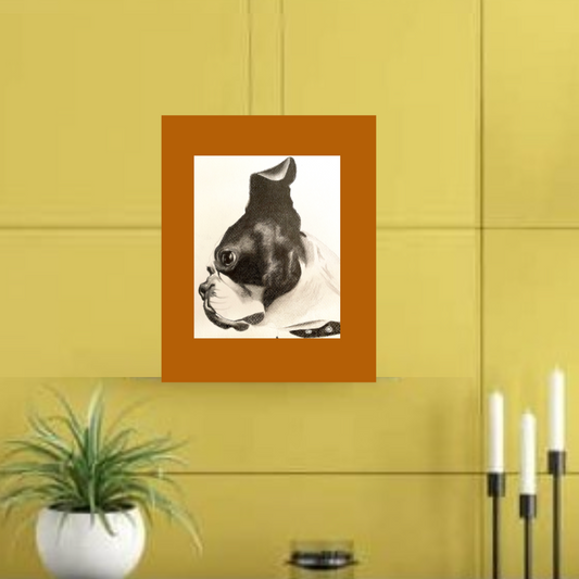 Retrata a tu mascota