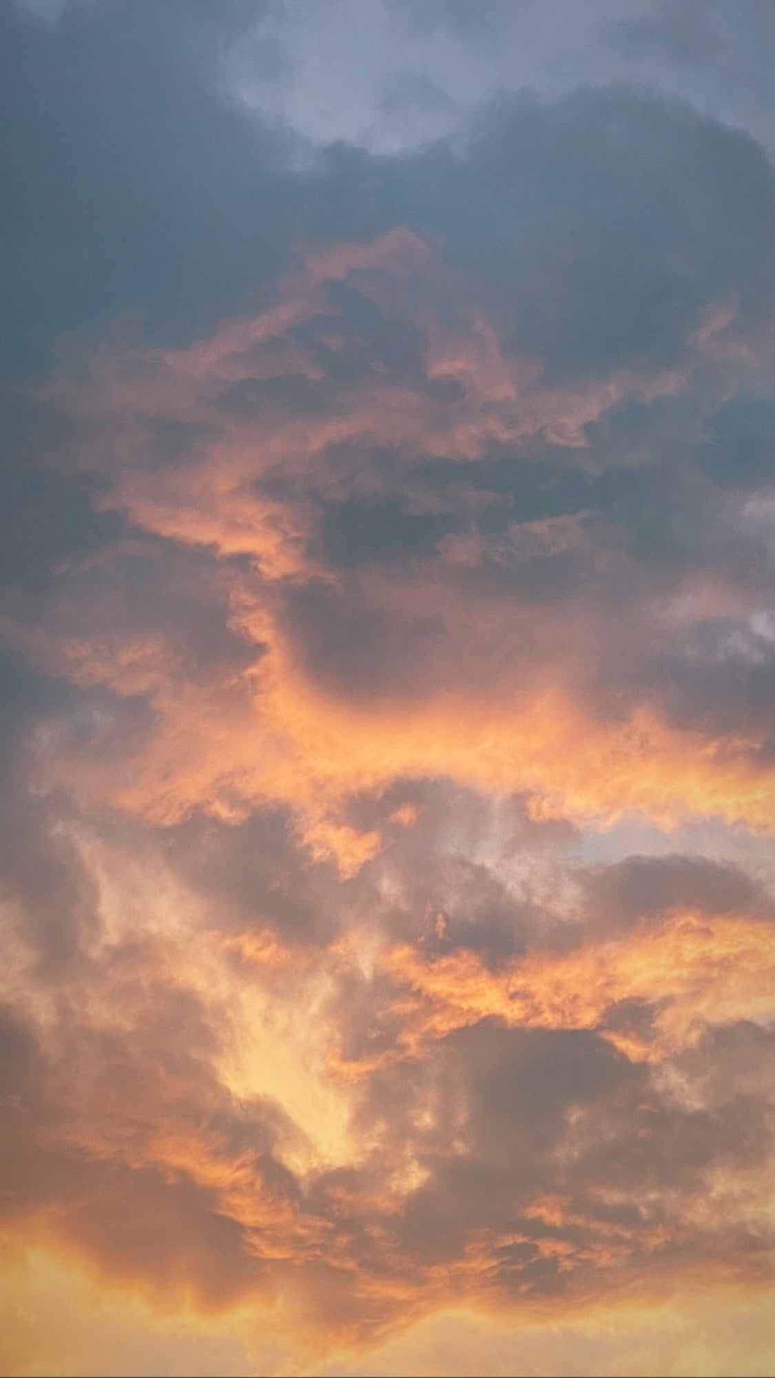 Yo te cielo