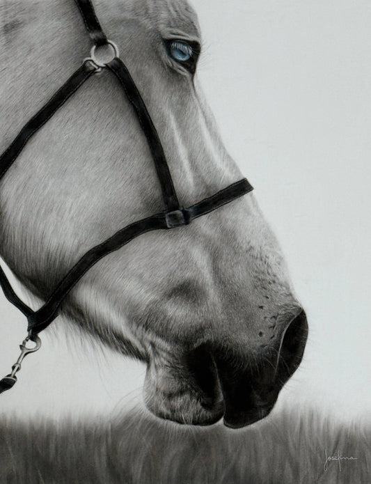 CABALLO