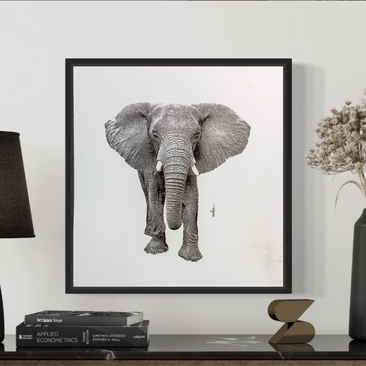 Elefante en Blanco y Negro